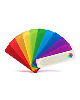 Product Customization