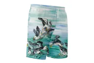 Kristy-Ann Duffy Kelp Gull Board Shorts - Unisex | Beach Wear