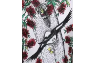 Swooping Magpie mid swoop - back detail
